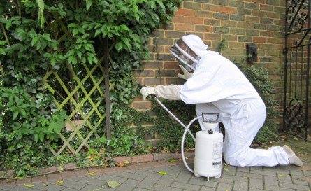 person spraying for pests